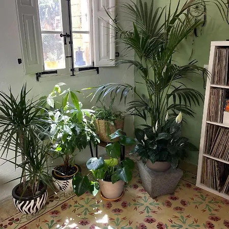 Sansun Community House *