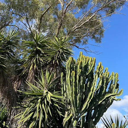 Sansun Community House Kwatera prywatna Xewkija